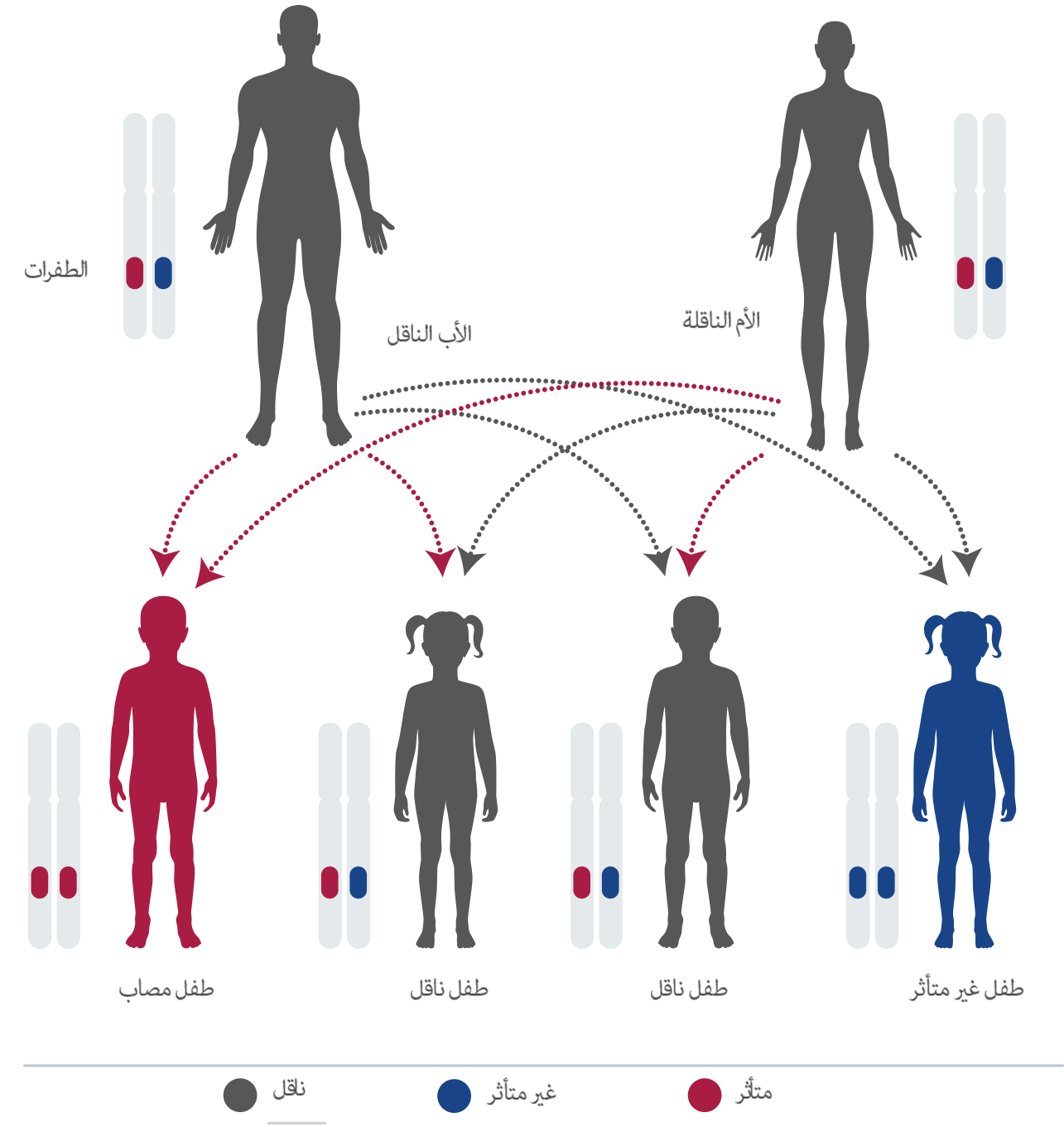 diagnostic-test هل هناك أنواع مختلفة لمرض نقص ألفا مانوسيداز؟